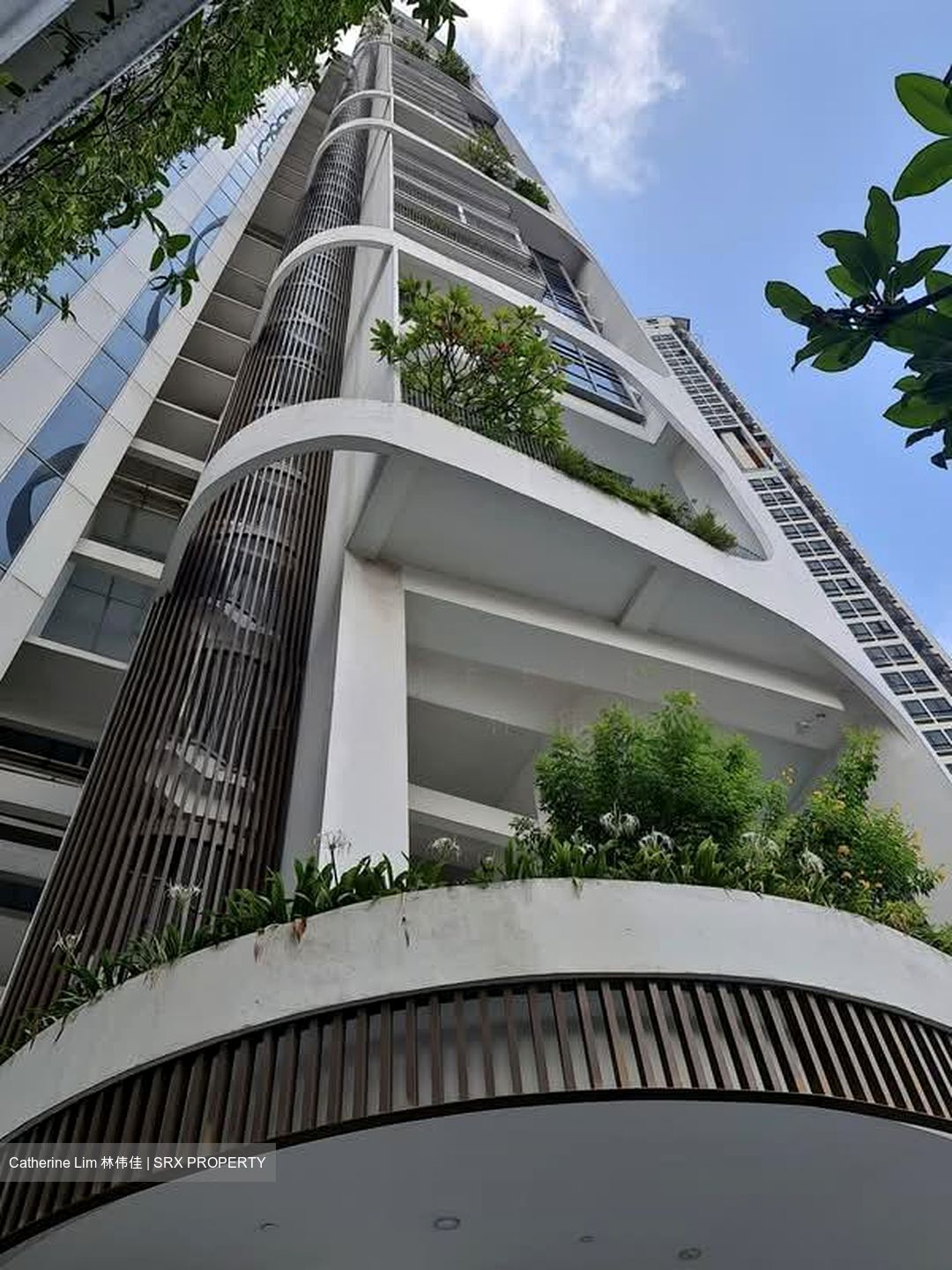 Spottiswoode Suites (D2), Apartment #555136881